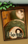 home button